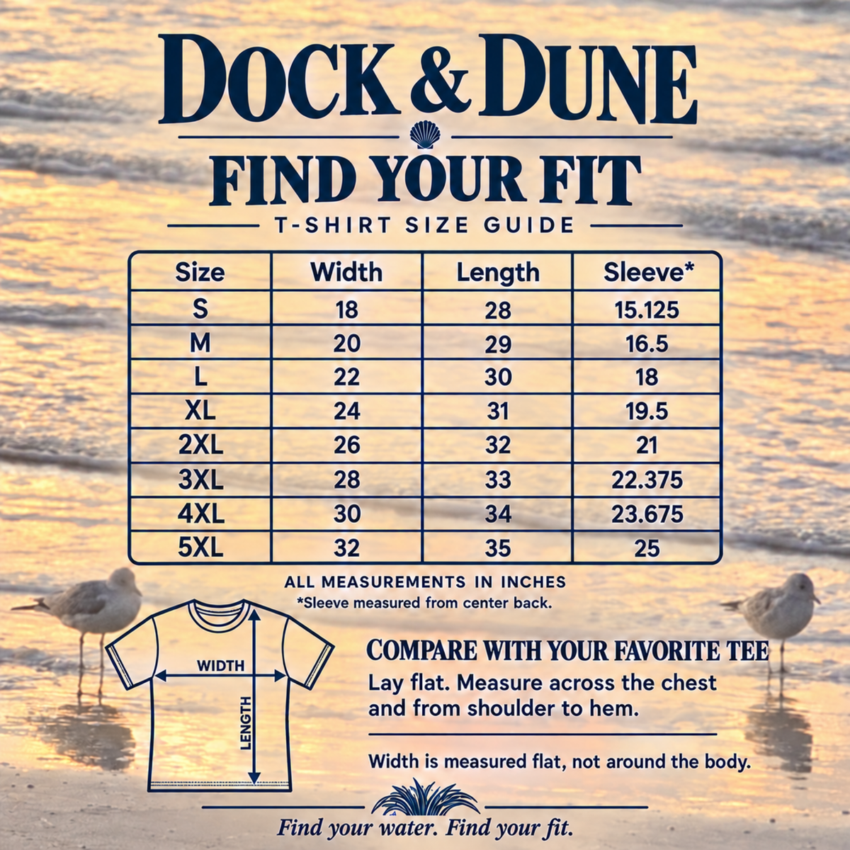 Dock & Dune T-shirt size guide with width, length, and sleeve measurements in inches for sizes S–5XL.